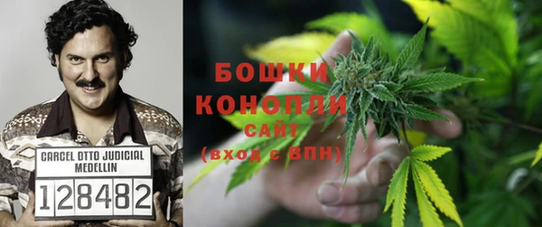 mdma Заводоуковск