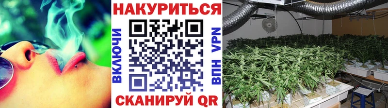 Купить закладки  Жирновск  Бошки марихуана планчик 